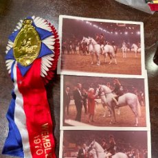 Coleccionismo deportivo: PREMIO INTERNATIONAL ROYAL HORSE SHOW WEMBLEY 1970 ENTREGADO POR LA REINA ISABEL II. Lote 326275383