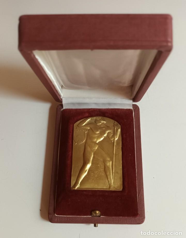 Coleccionismo deportivo: MEDALLA ESQUI / ALPINISMO - EN MERITO A LA COOPERACION CON EL GRUPO DE ESQUI DE COMPETICION - 1976