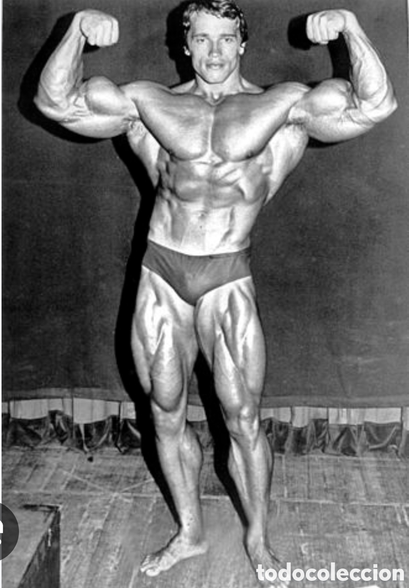 Coleccionismo deportivo: figura antigua metal pesada fisiculturista actor arnold schwarzenegger 33cm / Mike Mentzer