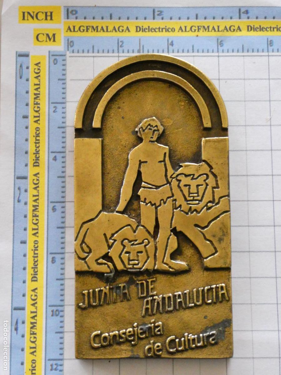 Sammelleidenschaft Sport: MEDALLA MEDALL&Oacute;N DEPORTIVO DIRECCI&Oacute;N GENERAL DE DEPORTES DE ANDALUC&Iacute;A A&Ntilde;OS 80. BRONCE. 260GR