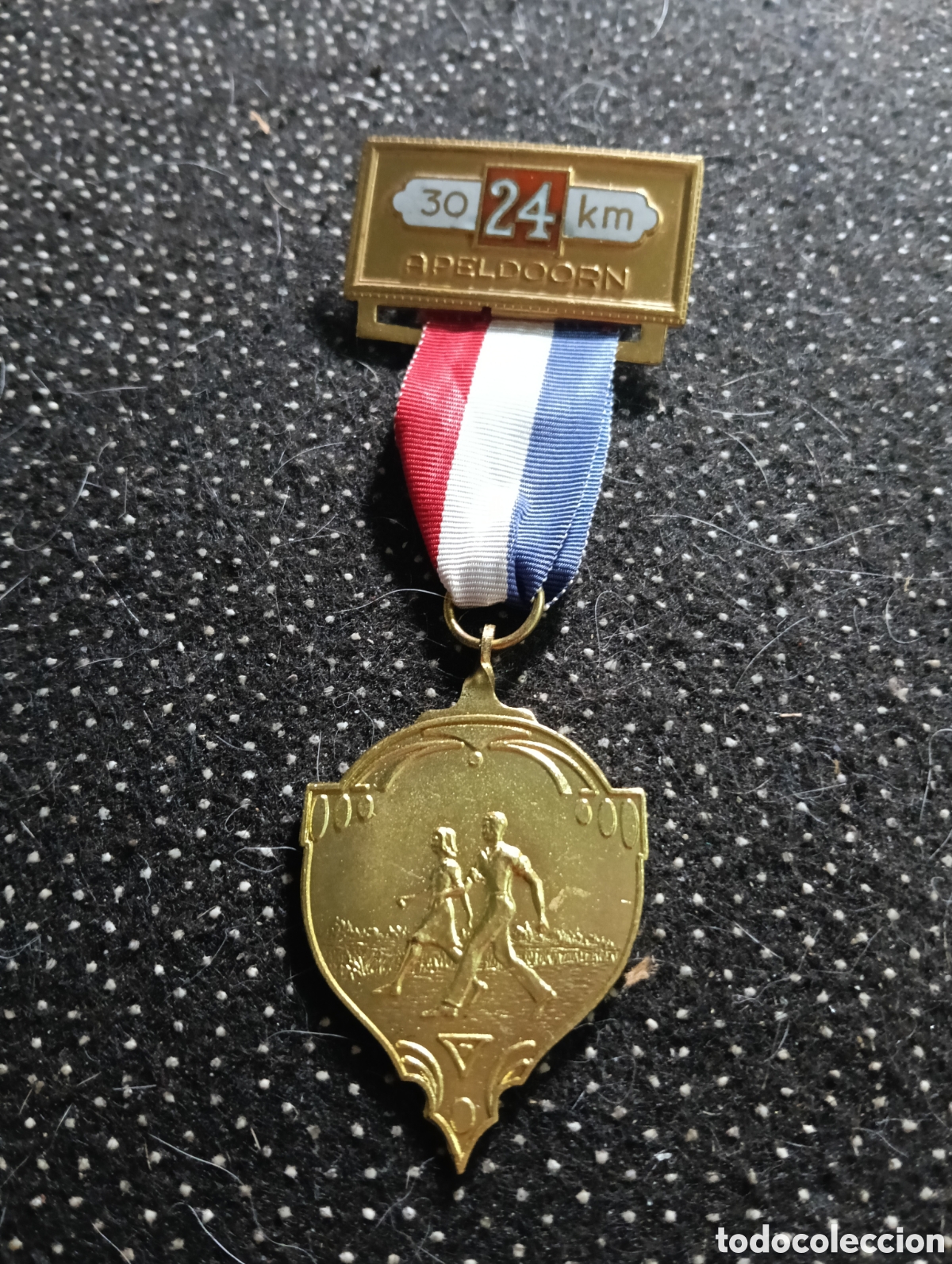 Collectionnisme sportif: Medalla de conmemoraci&oacute;n deportiva de los Pa&iacute;ses Bajos por completar 30 o 24 km en Apeldoorn.