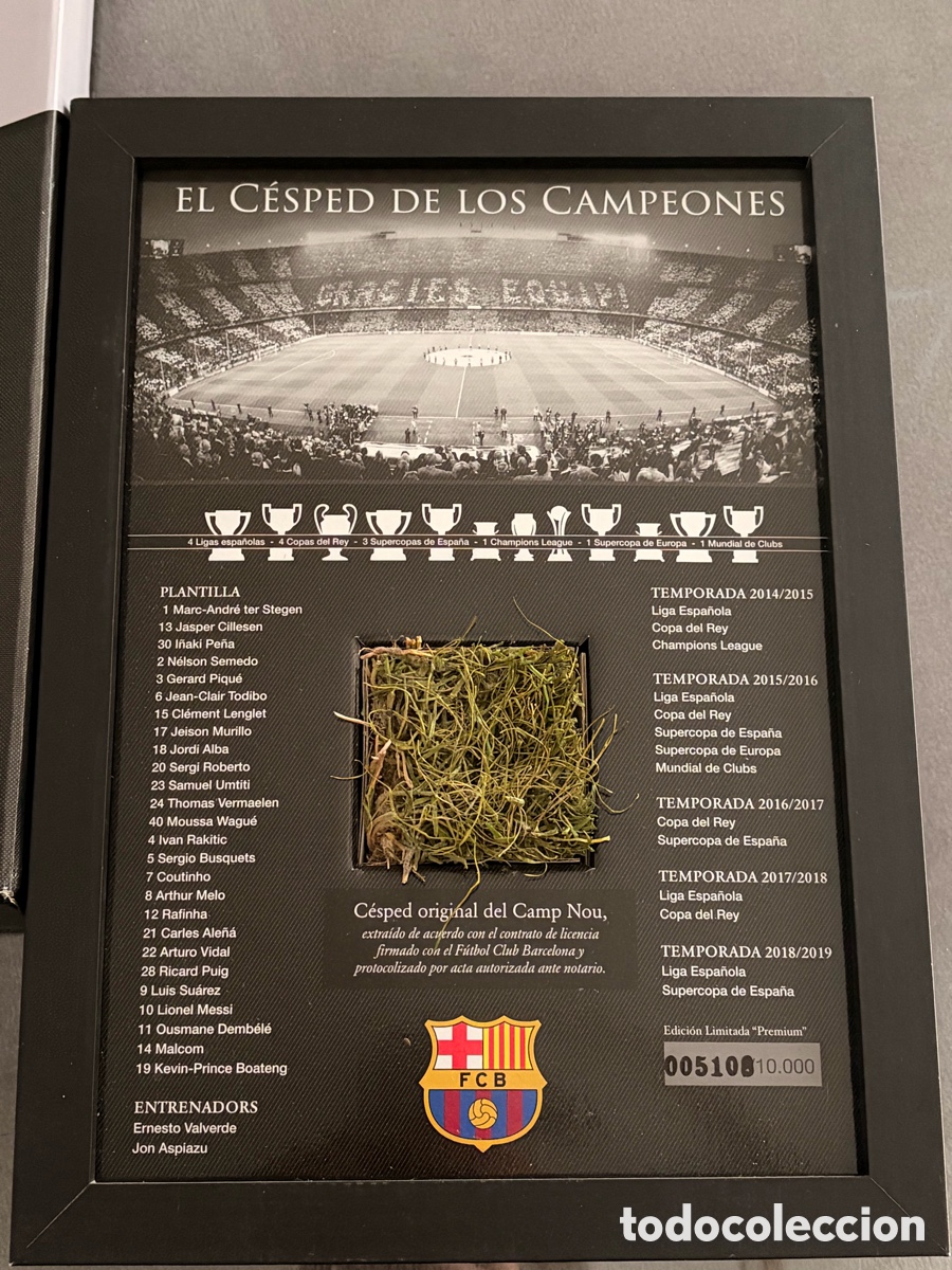 Coleccionismo deportivo: C&eacute;sped Original Camp Nou - FC Barcelona Edici&oacute;n Limitada &rdquo;Premium&rdquo;
