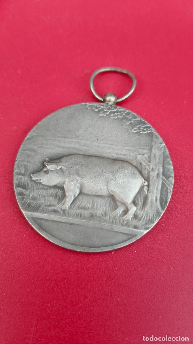 Medallas hist&oacute;ricas: M&eacute;daille comm&eacute;morative collection ancienne - Foto 3