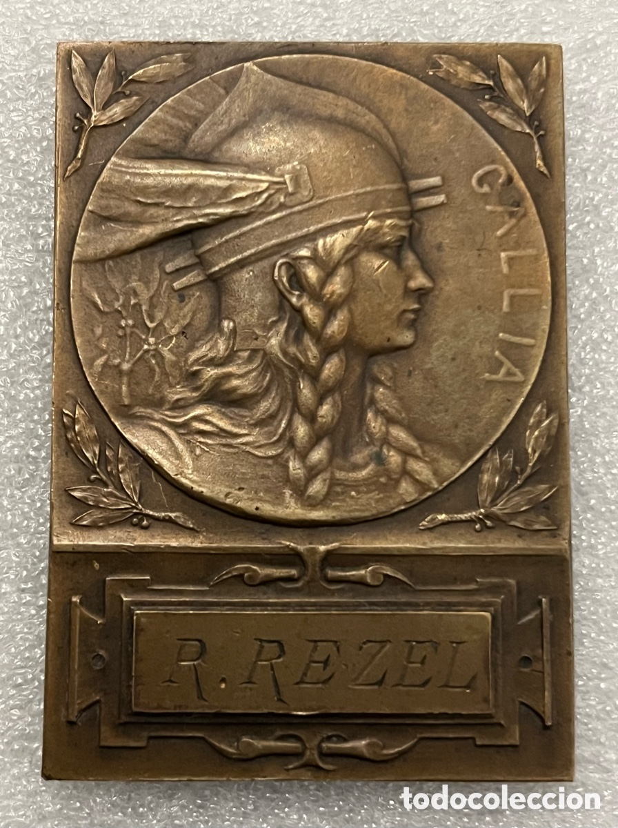 Medallas hist&oacute;ricas: Medalla Francesa de Bronce - Gallia - Foto 1