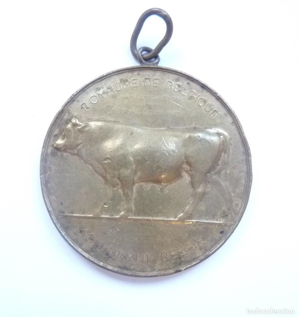 Medallas hist&oacute;ricas: B&eacute;lgica: Medalla mejora de raza bovina. Distinci&oacute;n ganadera belga. Limburgo