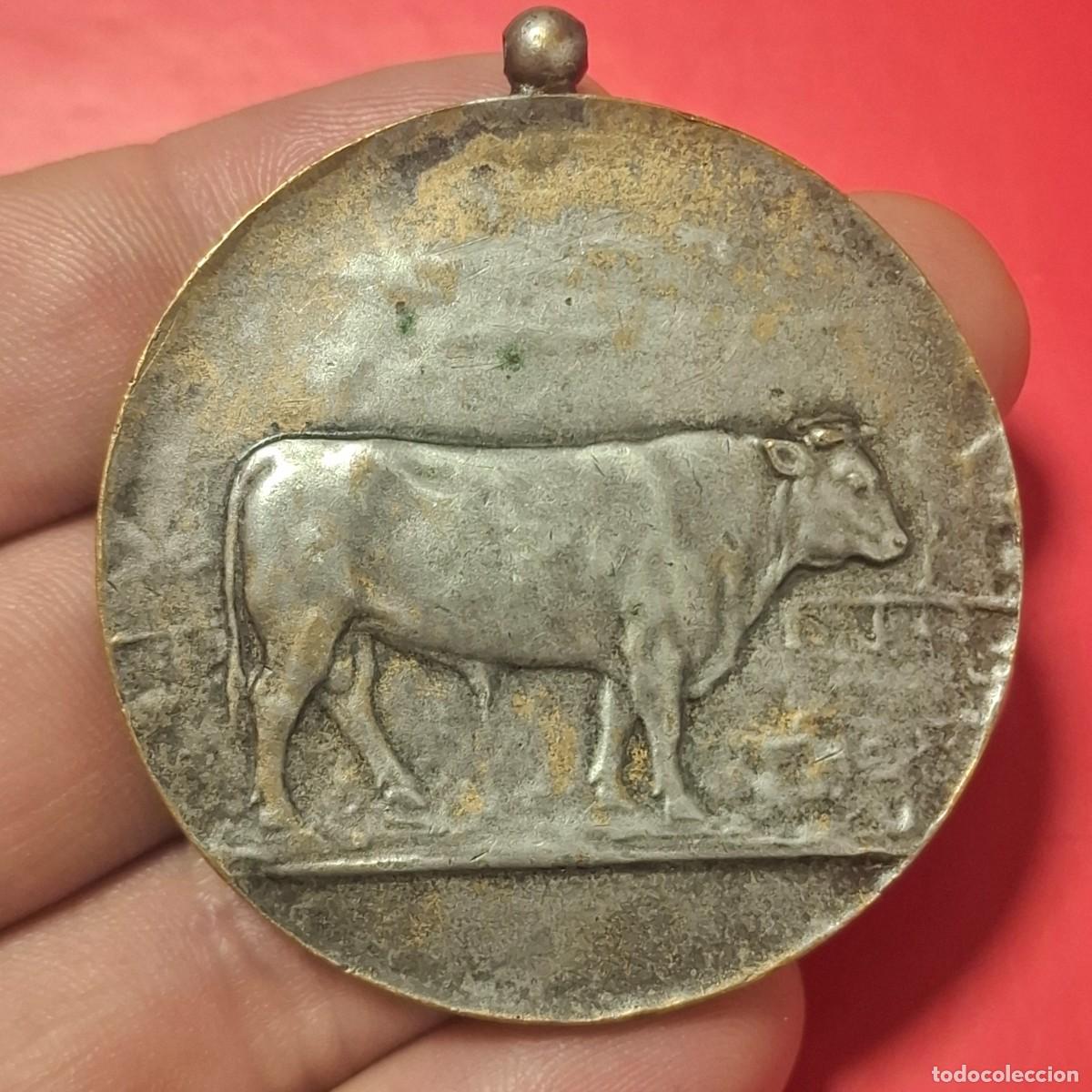 Medallas hist&oacute;ricas: Antigua medalla premio de ganaderia