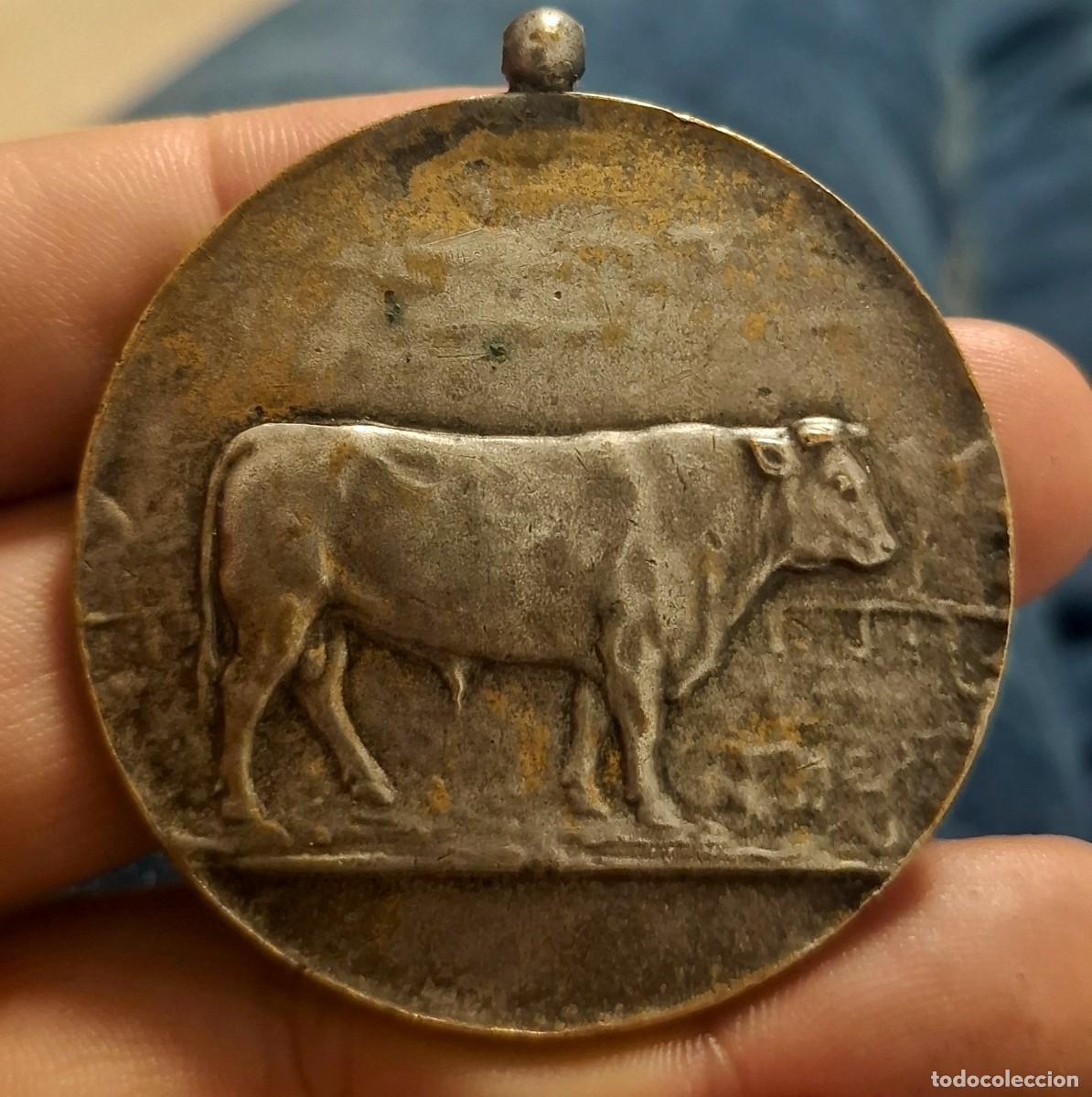 Medallas hist&oacute;ricas: Antigua medalla premio de ganaderia