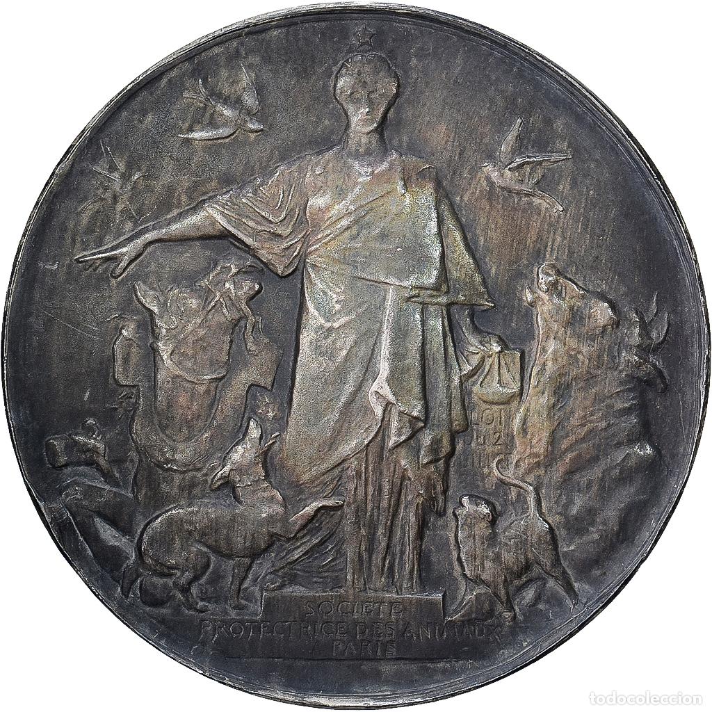 Medallas hist&oacute;ricas: [#1529070] Francia, medalla, Soci&eacute;t&eacute; Protectrice des Animaux, Paris, 1923, Plata, MBC+
