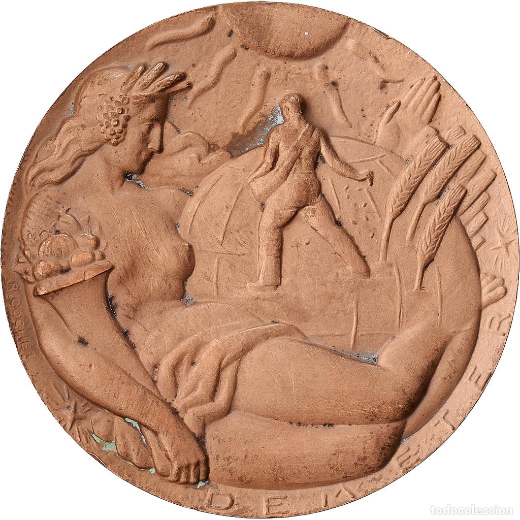 Medallas hist&oacute;ricas: [#1528992] Francia, medalla, Art D&eacute;co, Concours G&eacute;n&eacute;ral Agricole, 1954, Bronce, Cochet