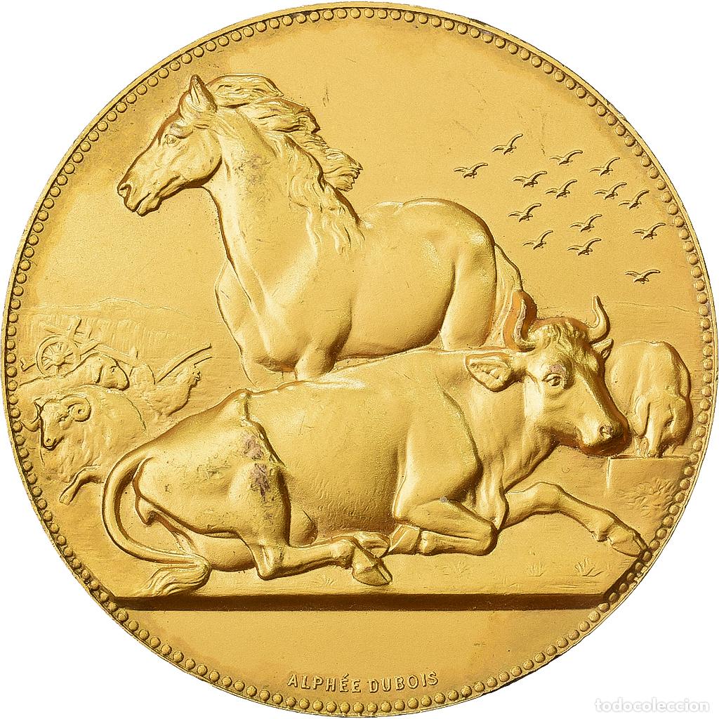 Medallas hist&oacute;ricas: [#1529078] Francia, medalla, Offert par M. De Ludre, S&eacute;nateur de l'Orne, Bronce dorado