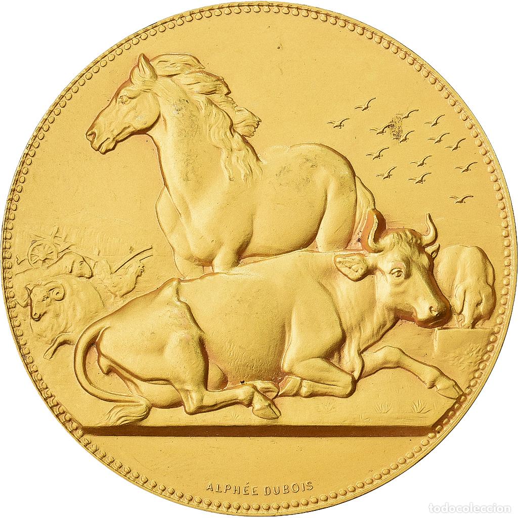 Medallas hist&oacute;ricas: [#1529079] Francia, medalla, Offert par M. Oriot, S&eacute;nateur, Bronce dorado, Alph&eacute;e Dubois