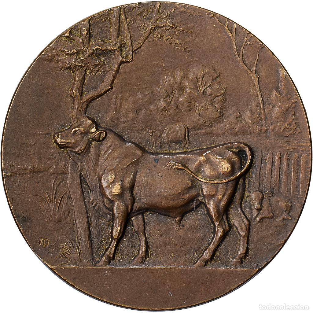 Medallas hist&oacute;ricas: [#1529082] Francia, medalla, Taureau, Bronce, Alph&eacute;e Dubois, MBC