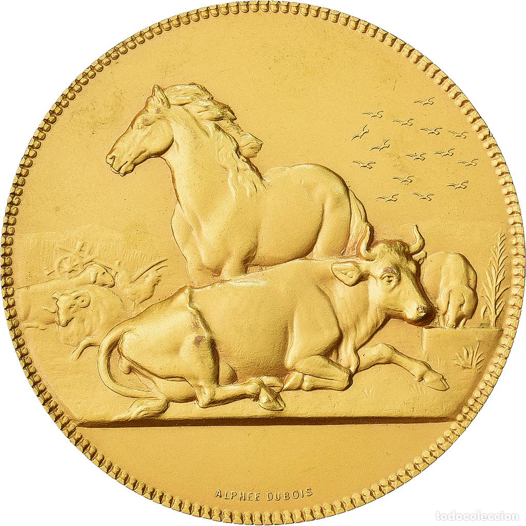 Medallas hist&oacute;ricas: [#1529080] Francia, medalla, Offert par M. De Ludre, D&eacute;put&eacute; de l'Orne, Bronce dorado