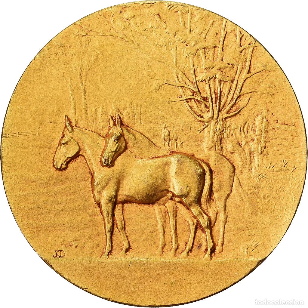 Medallas hist&oacute;ricas: [#1529081] Francia, medalla, Chevaux, Haras, Bronce dorado, Alph&eacute;e Dubois, MBC