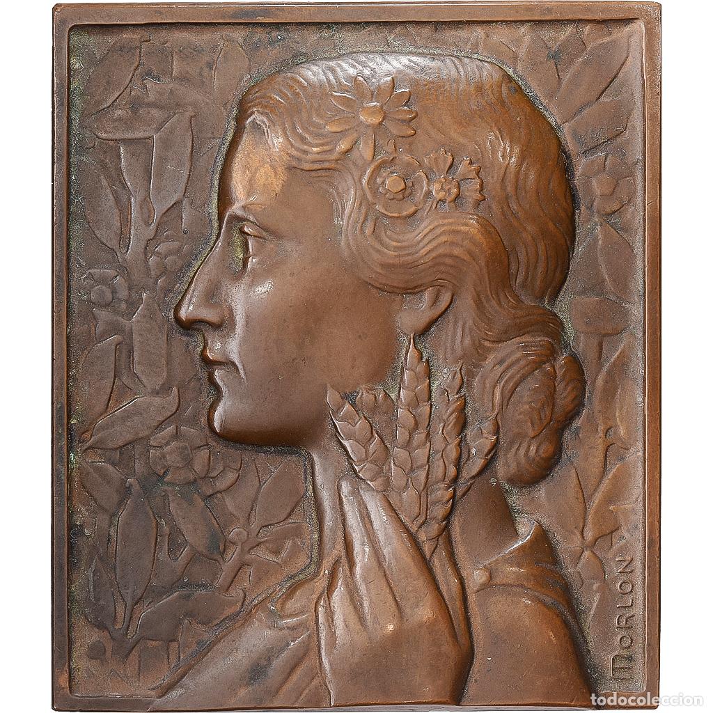 Medallas hist&oacute;ricas: [#1529358] Francia, medalla, Offert par M. de Montalaembert, S&eacute;nateur, Bronce, Morlon