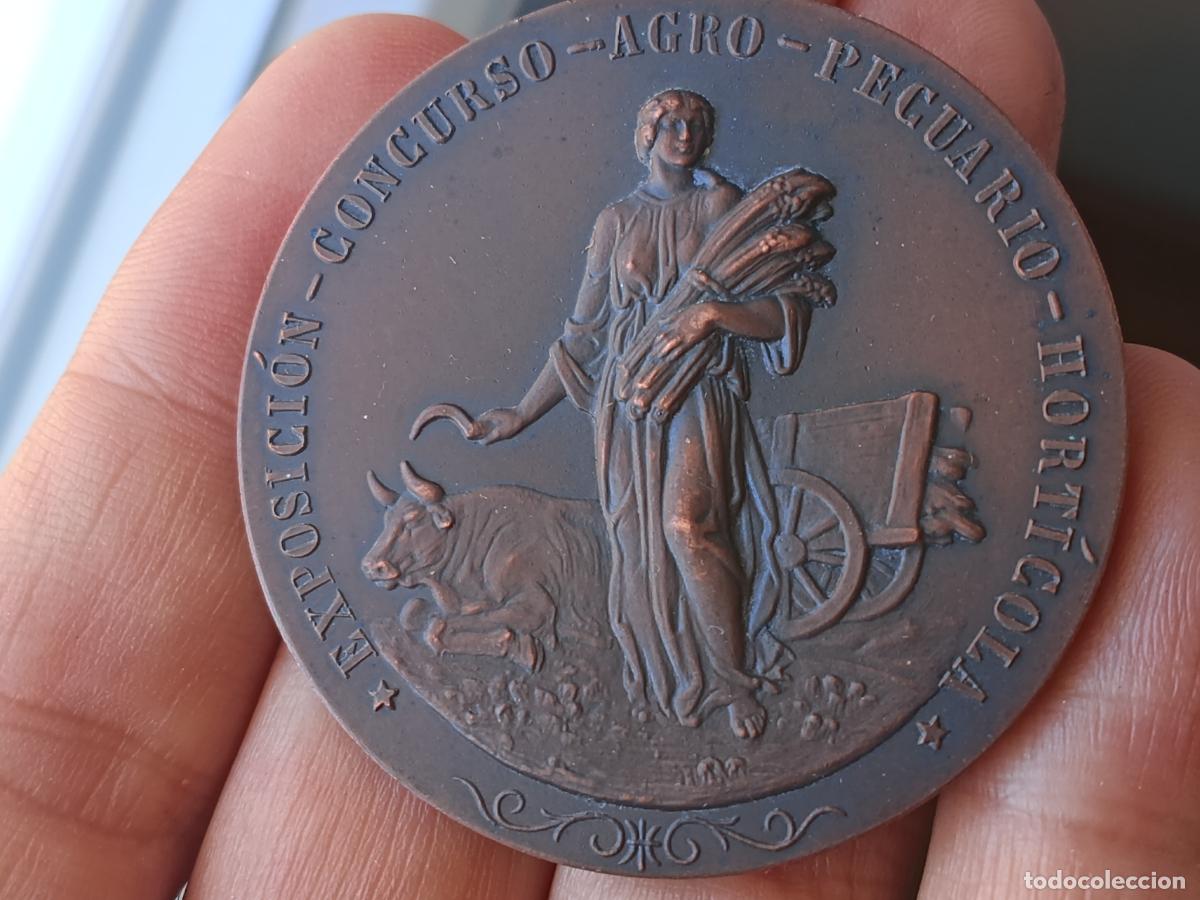Medallas hist&oacute;ricas: San Sebasti&aacute;n 1923 Exposici&oacute;n Concurso Agro Pecuario Hort&iacute;cola. Medalla antigua