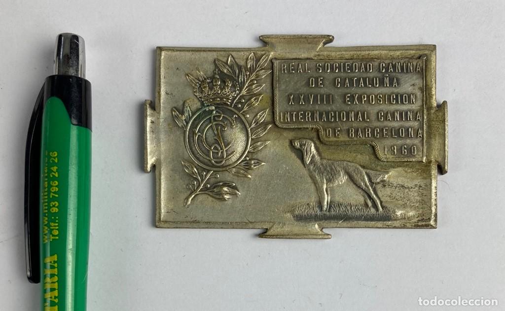 Medallas hist&oacute;ricas: Medalla placa REAL SOCIEDAD CANINA DE CATALU&Ntilde;A XXVIII EXPOSICI&Oacute;N INTERNACIONAL CANINA DE BARCELONA 1