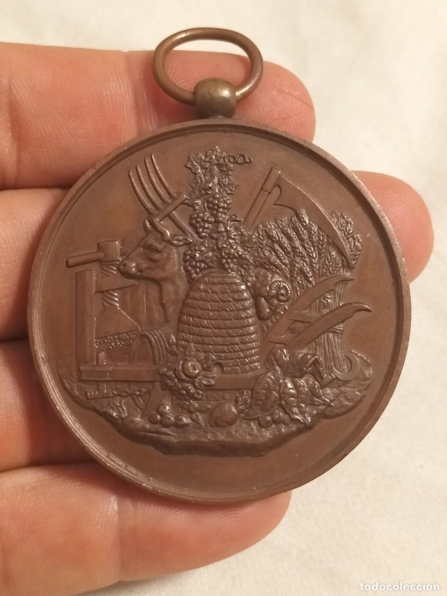 Medallas hist&oacute;ricas: Medalla de bronce.Sal&oacute;n agr&iacute;cola de Fontenay le Comte Vend&eacute;e. siglo XIX