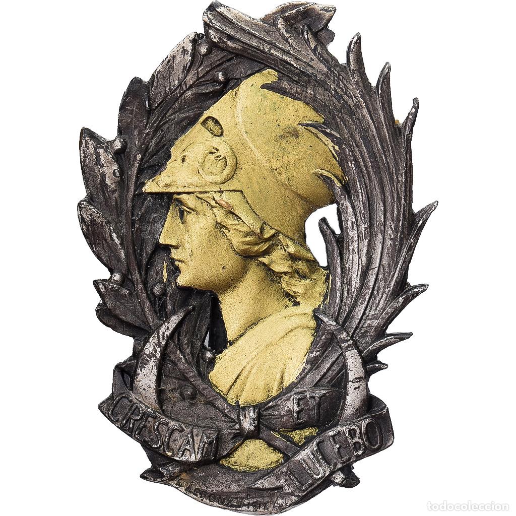 Medallas hist&oacute;ricas: [#1215102] Francia, Insigne, Acad&eacute;mie Nationale des Sciences, Belles Lettres et Arts