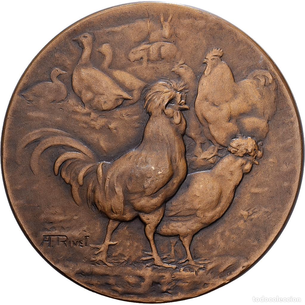 Medallas hist&oacute;ricas: [#1215187] Francia, medalla, Soci&eacute;t&eacute; d'Agriculture de la Charente, Bronce, Rivet, MBC+