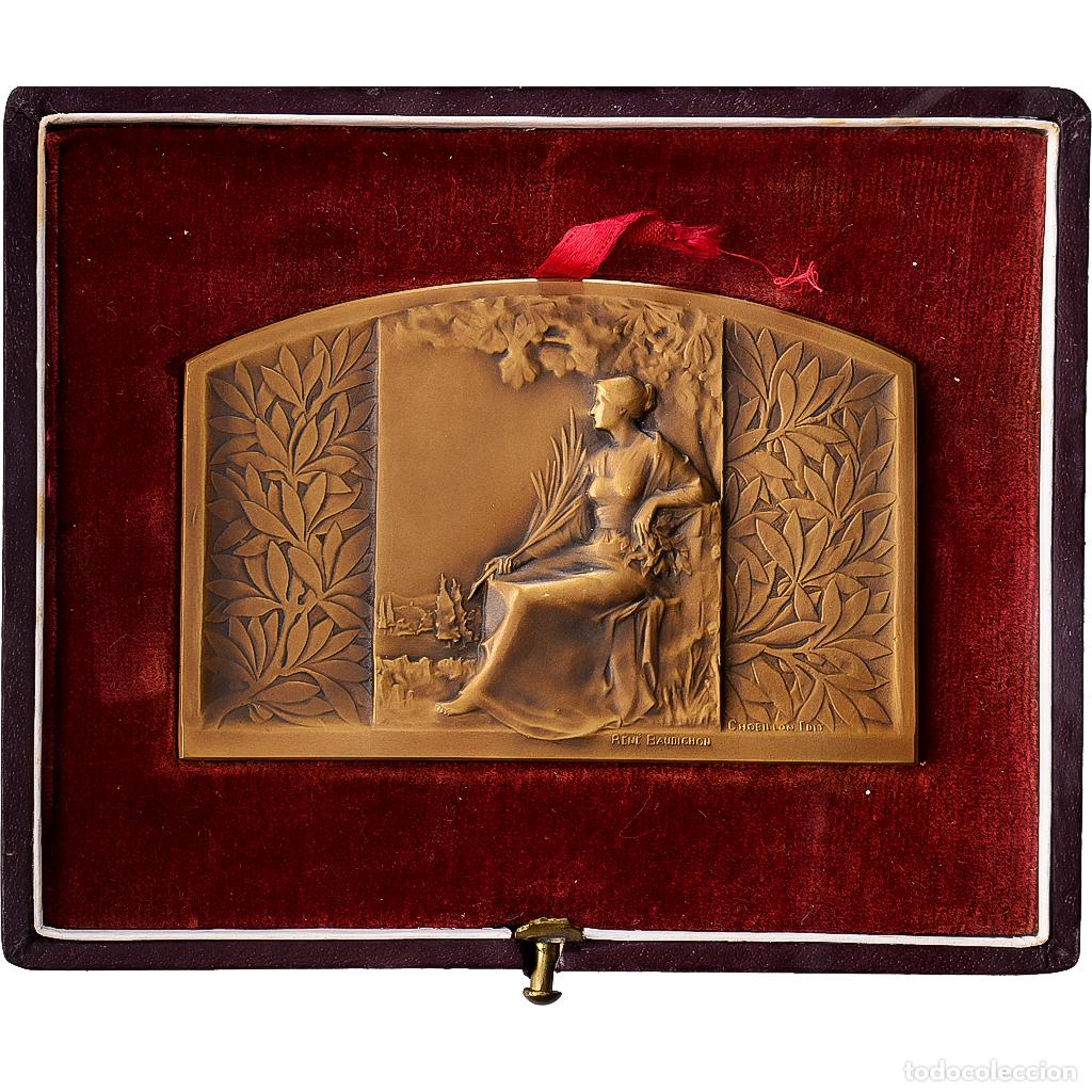 Medallas hist&oacute;ricas: [#139939] Francia, medalla, Offert par Pierre Bordes, Bronce, Baudichon, EBC