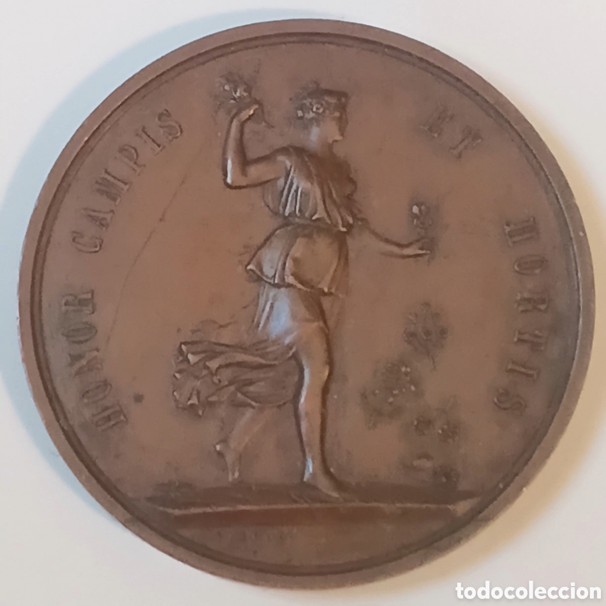Medallas hist&oacute;ricas: ITALIA FLORENCIA (c. 1880) MEDALLA SOCIEDAD TOSCANA DE HORTICULTURA BRONCE