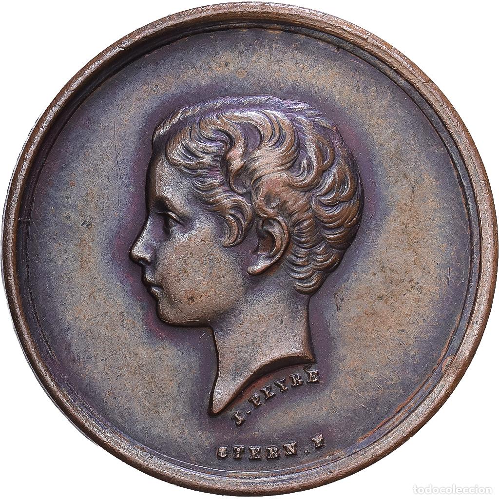 Medallas hist&oacute;ricas: [#1216329] Francia, medalla, Napol&eacute;on IV, Soci&eacute;t&eacute; du Prince Imp&eacute;rial, Enfance au