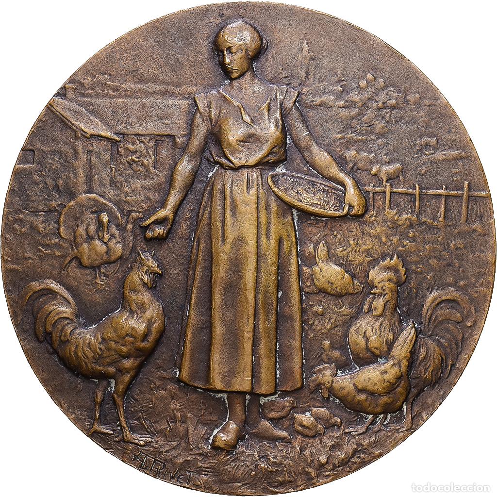 Medallas hist&oacute;ricas: [#1216520] Francia, medalla, Soci&eacute;t&eacute; des Agriculteurs de l'Artois, Bronce, Rivet, MBC+