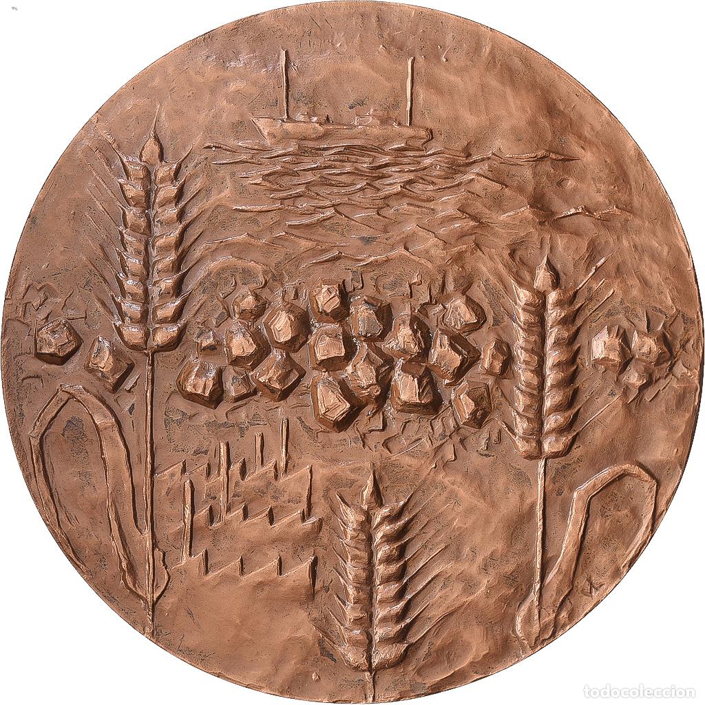 Medallas hist&oacute;ricas: [#1216836] Francia, medalla, Conseil G&eacute;n&eacute;ral du Pas-de-Calais, 1976, Bronce, SC