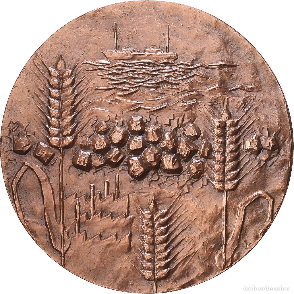 Medallas hist&oacute;ricas: [#1216892] Francia, medalla, Conseil G&eacute;n&eacute;ral du Pas-de-Calais, 1976, Bronce, SC