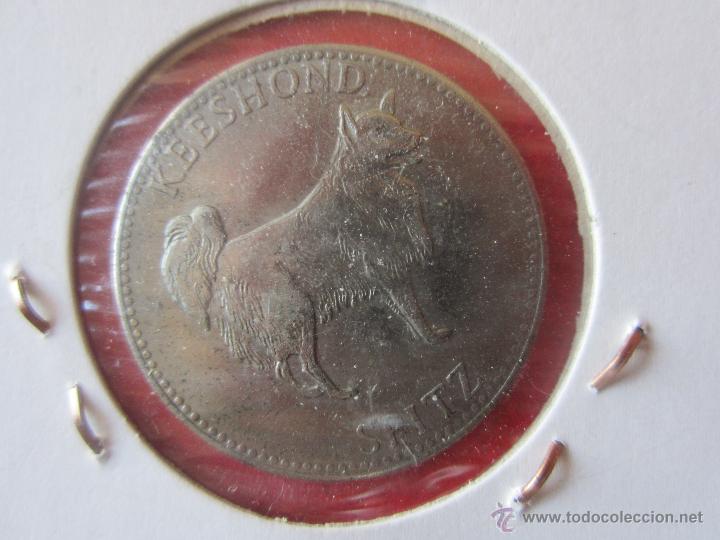 Medallas tem&aacute;ticas: Ficha Prolic - Foto 2