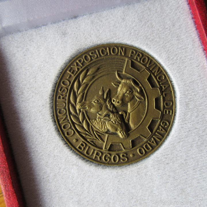 Medallas tem&aacute;ticas: Medalla concurso exposicion provincial de ganado Burgos