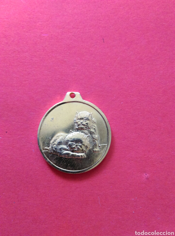 Medallas tem&aacute;ticas: Medalla exito con dos gatos - Foto 1