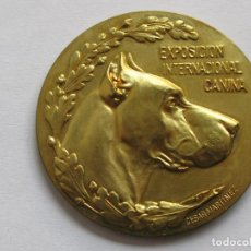 Medallas temáticas: MEDALLLA PREMIO CANINO , ESPAÑA . 42 GRAMOS/49 MM. Lote 197154687