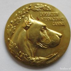 Medallas temáticas: MEDALLA PREMIO CANINO , ESPAÑA . 40,50 GRAMOS/49 MM. Lote 197154707