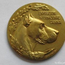 Medallas temáticas: MEDALLA PREMIO CANINO , ESPAÑA . 41,20 GRAMOS/49 MM. Lote 197154740