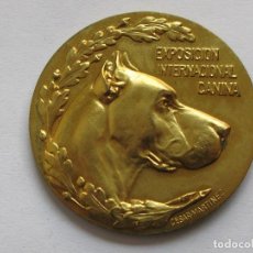 Medallas temáticas: MEDALLA PREMIO CANINO , ESPAÑA . 42,70 GRAMOS/49 MM. Lote 197154791