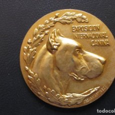 Medallas temáticas: MEDALLA PREMIO CANINO , ESPAÑA . 41,30 GRAMOS/49 MM. Lote 198769970