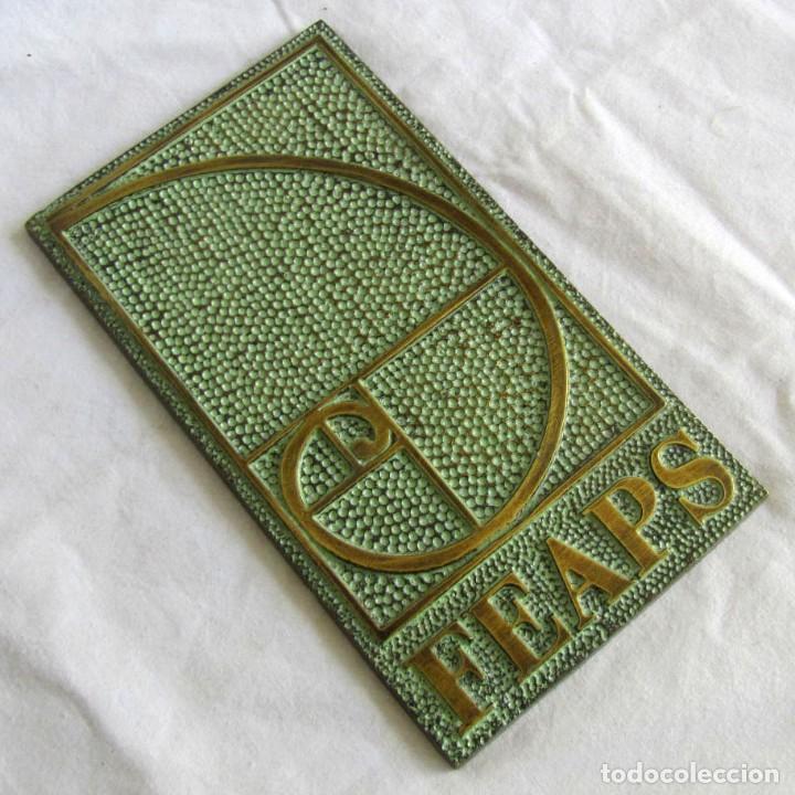 Medallas tem&aacute;ticas: Placa de bronce FEAPS - Foto 1