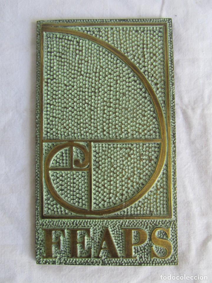 Medallas tem&aacute;ticas: Placa de bronce FEAPS - Foto 3