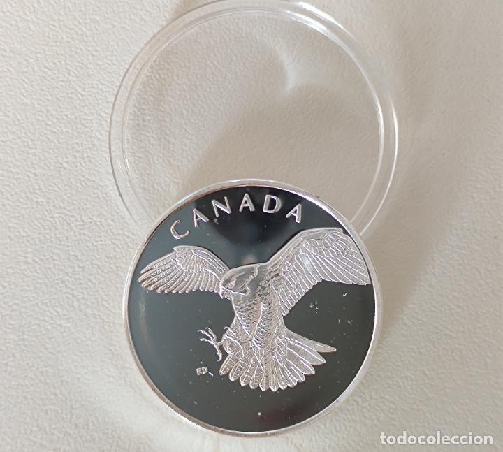 Medallas tem&aacute;ticas: MONEDA DE COLECCION DEL AGUILA CALVA - Foto 1
