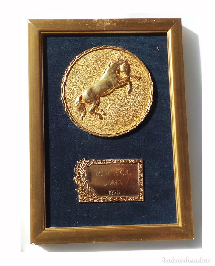 Medallas tem&aacute;ticas: PREMIO H&Iacute;PICO DE DOMA. 1975. - Foto 1
