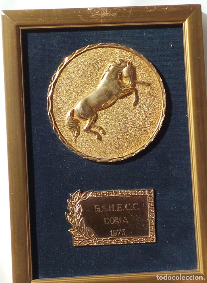 Medallas tem&aacute;ticas: PREMIO H&Iacute;PICO DE DOMA. 1975. - Foto 2