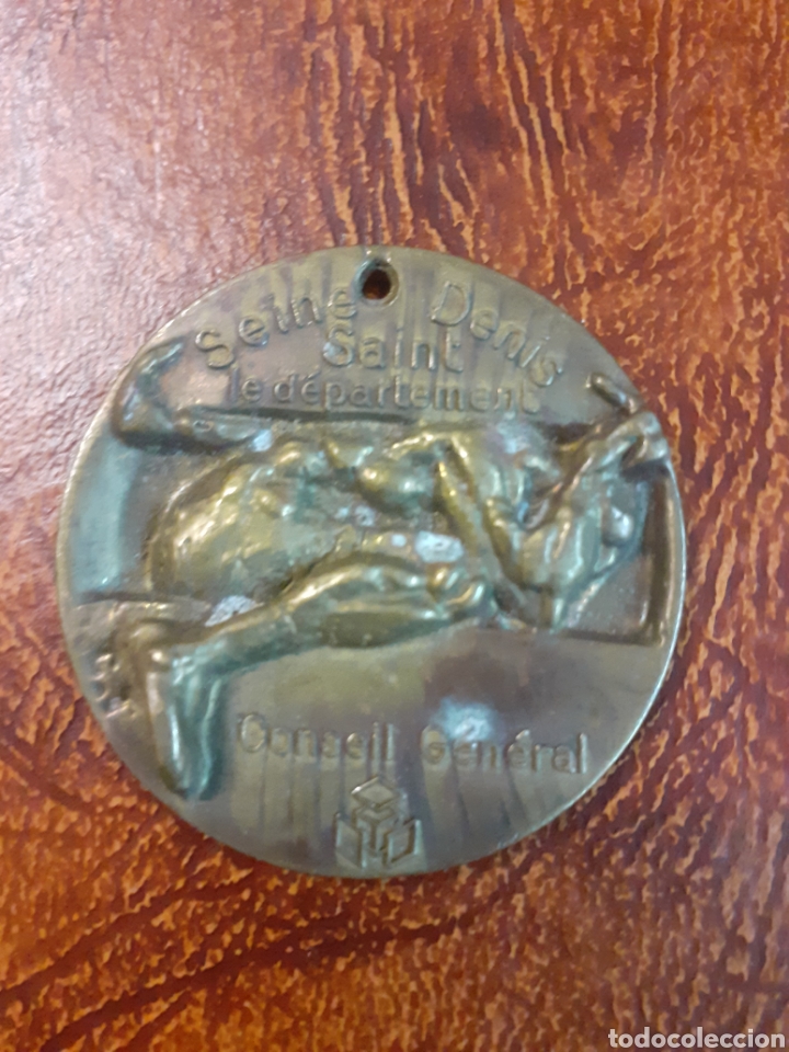 Medallas tem&aacute;ticas: Medalla Seine Saint Denis departamento Consell General