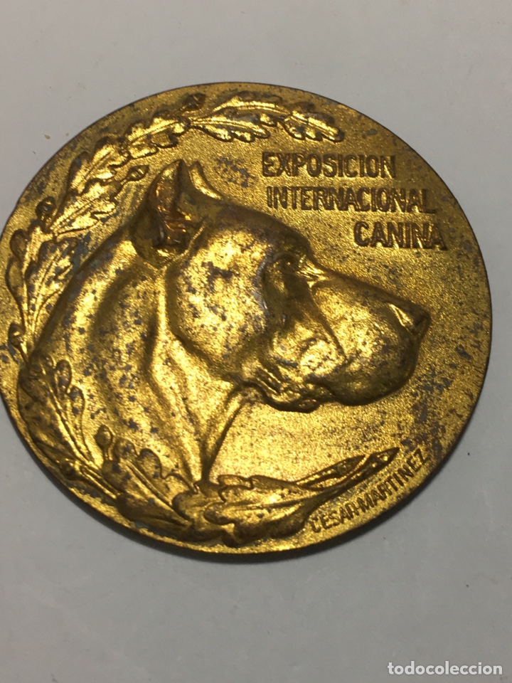 Medallas tem&aacute;ticas: Magn&iacute;fica medalla conmemorativa premio al m&eacute;rito de la Exposici&oacute;n internacional canina
