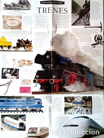 Medaglie tematiche: lamina educativa de trenes