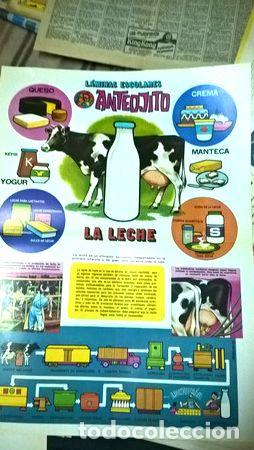 M&eacute;dailles th&eacute;matiques: laminas escolares anteojito la leche antigua para enmarcar