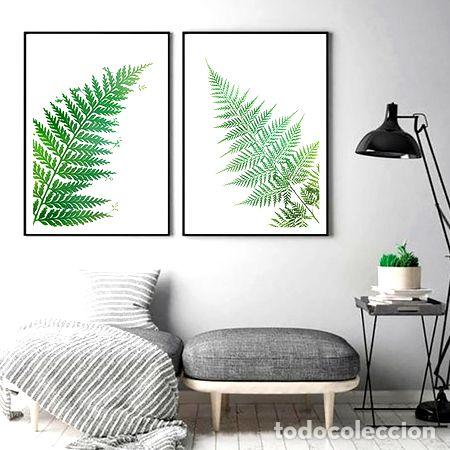 M&eacute;dailles th&eacute;matiques: helecho i ii planta hoja lamina o poster decoracion