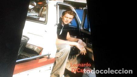 Medaglie tematiche: poster leonardo dicaprio 42 x 30 o091