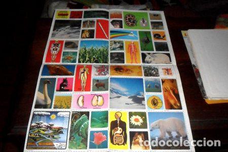 Medaglie tematiche: anteojito antigua lamina poster figuritas escolares